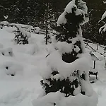 Holiday home Altes Forsthaus Am Bach Altaussee