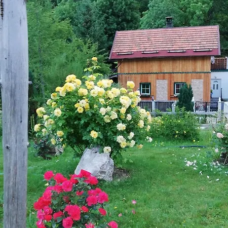 Georges Rast * Altaussee