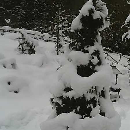 Ferienhaus Georges Rast Altaussee