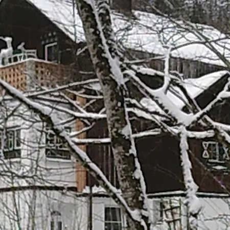 Georges Rast Ferienhaus Altaussee