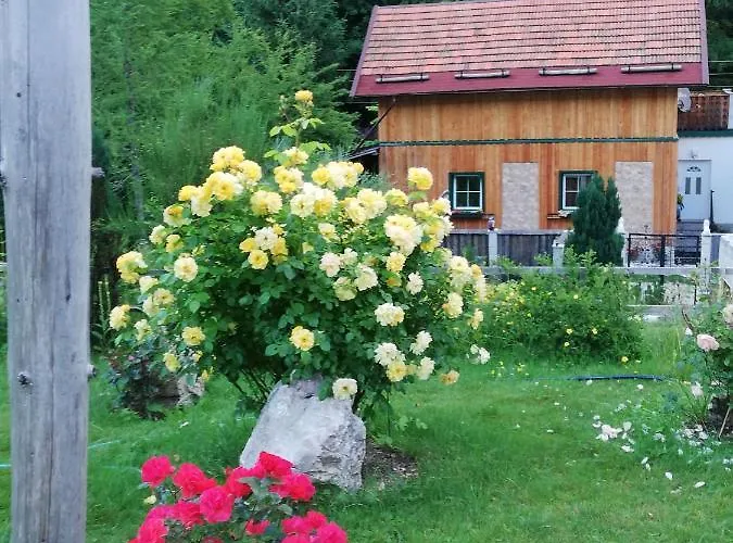 Altes Forsthaus Am Bach * Altaussee