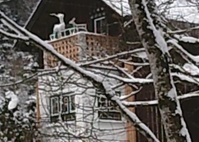 Altes Forsthaus Am Bach * 奥尔陶斯