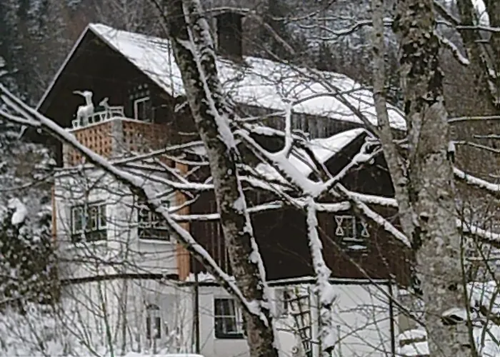 度假居 Altes Forsthaus Am Bach *