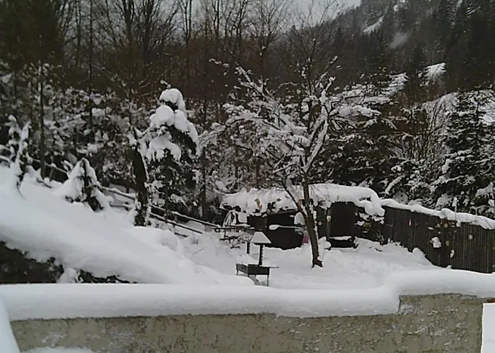 Altes Forsthaus Am Bach * 奥尔陶斯