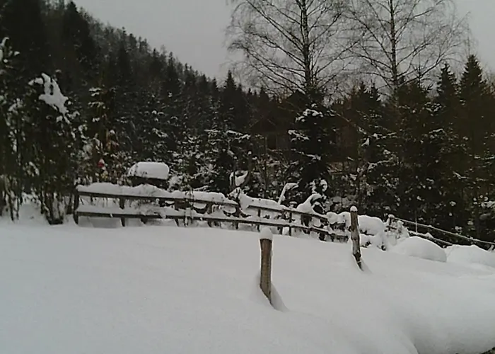 Altes Forsthaus Am Bach * 奥尔陶斯