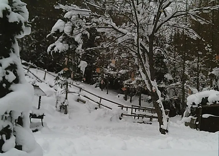 Altes Forsthaus Am Bach * Altaussee