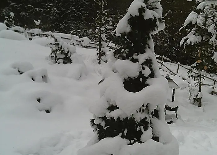 度假居 Altes Forsthaus Am Bach 奥尔陶斯